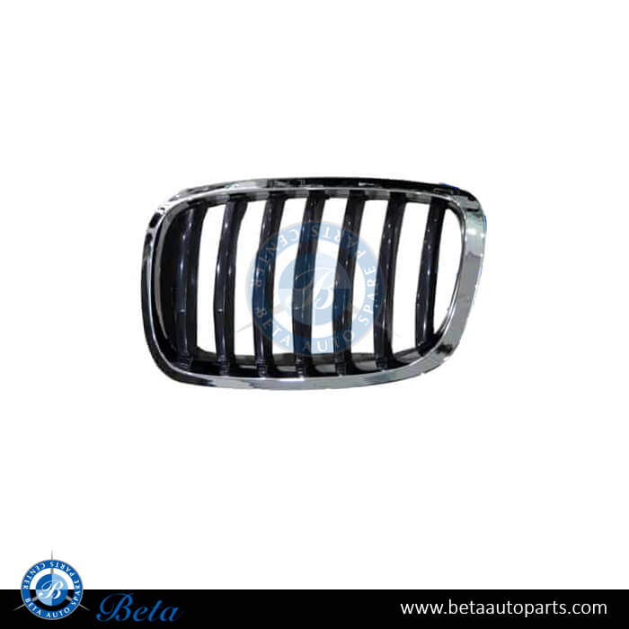 Left Side Radiator Grille for BMW X6 E71 LCI 2013-2014 models, Part Number 51137305589 Left Side Radiator Grille for BMW X6 E71 LCI 2013-2014 models, Part Number 51137305589